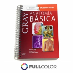 GRAY Anatomia basica