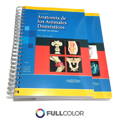 KONIG Anatomía de los Animales Domésticos 2 Ed
