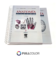 ROUVIERE Anatomia humana 11 Ed - comprar online