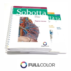 SOBOTTA Atlas anatomia humana 24 Ed