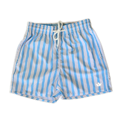 Beach Shorts Striped Blue