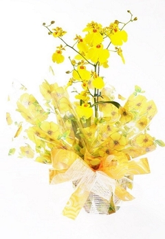 Orquidea Chuva de Ouro