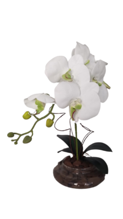 Orquídea permanente Cascata Branca