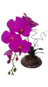 Orquídea permanente Denphale roxa