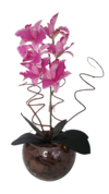 Orquídea permanente Cattleya Rosa