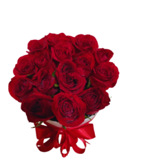 Box de Rosas vermelhas - comprar online