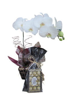 Orquídea Branca e Ferrero rocher