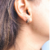 Drosophila Stud Earrings on internet