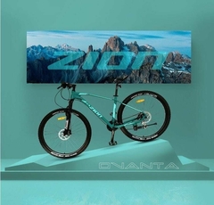 Bicicleta Zion Ovanta R29 24 Vel Disco Hidráulicos MTB (Talle L) Verde - comprar online