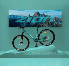 Bicicleta Zion Ovanta R29 24 Vel Disco Hidráulicos MTB (Talle M) Verde - comprar online