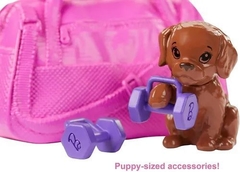Muñeca Barbie Deportiva Articulada Cachorro Y Accesorios - El Arca del Juguete