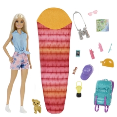 Barbie Dia De Campamento - comprar online