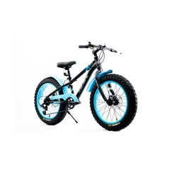 Bici Mtb Fat R24 Aluminio 7 Vel Shimano