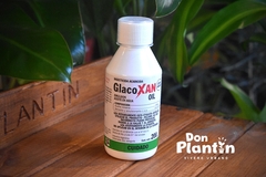 Glacoxan Oil - Don Plantín