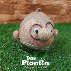 Loco Lope - Experiencia de germinado - Don Plantín