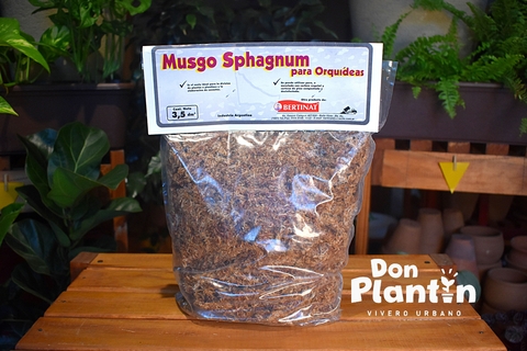 Musgo Sphagnum