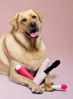 Imagen de ** PRE ORDEN*Rare Beauty-Pawfect Strokes Mascara Dog Toy