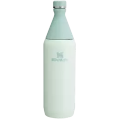 **PRE ORDEN** Stanley-ALL DAY SLIM BOTTLE - tienda en línea