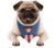 Bandana Cachorro M/G Pets Marvel Capitão América Produto Oficial Regina Festas - Inspire sua Festa Loja