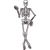 Decoração de parede Esqueleto Halloween 1 un Regina Festas - Inspire sua Festa Loja - comprar online
