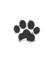 Kit Festa Pet Dog Festcolor - Inspire sua Festa Loja - loja online