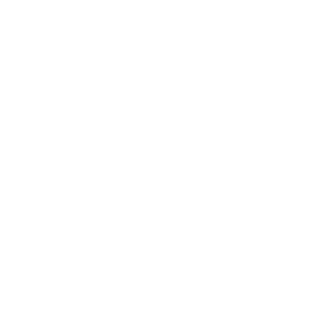 X - TRUST