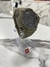 Relógio Digital X Watch Masculino XMPPD679 PXEX Mesclad 100m - comprar online