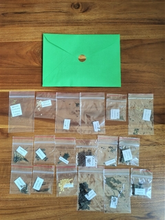 Kit 21 PANC raras + manual de cultivo