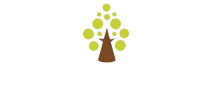 Amantes da Educação - Brinquedos Montessori, Waldorf, Pikler e Reggio Emilia
