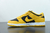 Imagem do NK Dunk Low Wmns Pz