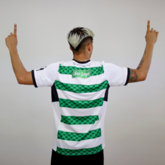 Palestino 2024 Green Brigade Celtic - comprar online