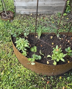 Módulo Recto 100 cm - Cajón de Huerta - Sin pintar en internet