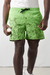 Short de Baño Sea Turtle - comprar online