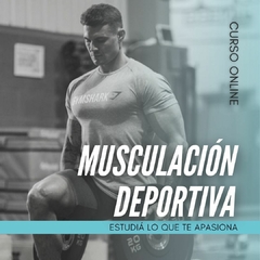 Curso Online Musculación Deportiva