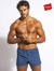 Boxer Hanes Algodón Camisero Tela Plana Art.8001 - comprar online