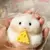 Brinquedo Hamster Squishy - Brinquedito