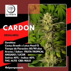 CARDON - x 12 Reg - comprar online