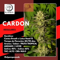 CARDON - x 6 Regu - comprar online