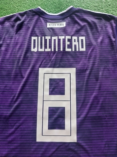 Imagen de Camiseta Alternativa 2018 #8