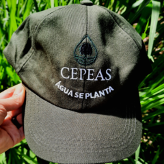 Boné CEPEAS - Água se Planta - comprar online