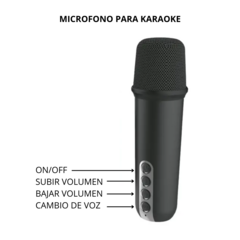 PARLANTE BLUETOOTH KARAOKE I30 SOUL - comprar online