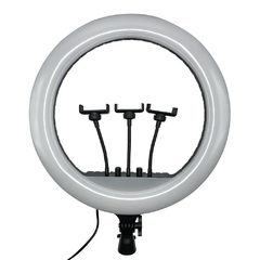 ARO LED 54CM RL-21 + CABLE TIPO 8