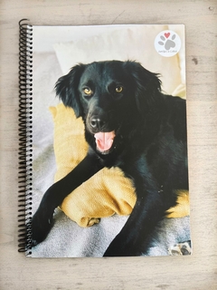 Cuaderno A4 Indio