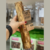 Wood N' Pets Stick - Madeira de Café - comprar online