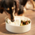Comedouro Quebra cabeça - Puzzle Feeder™ Lite / Dog Bowl for Eating Habit Training for S/M Breeds (Green) - Hello Pet