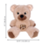 Pelúcia Kong Knots Teddy Assorted M - loja online