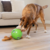 Bola interativa Oh Dog Snuffle N´Treat Ball Outward Hound na internet