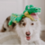 Pelúcia Jacaré para Cachorros Squeaker Matz XL - Outward Hound - loja online