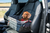 Cadeirinha de Transporte para Carros - KONG Travel Security Booster Seat