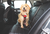 Cinto De Segurança Para Carro - Kong Travel M&S Seat Belt Tether - Hello Pet